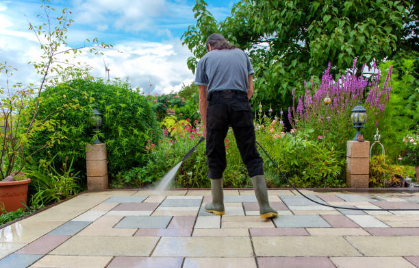 Best Sidewalk and Walkway Pressure Cleaning in Belmond, IA