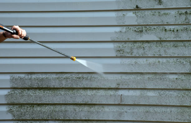 Best Deck and Patio Pressure Washing in Belmond, IA