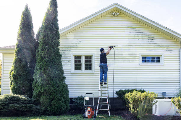 Best Roof Cleaning and Mildew Removal in Belmond, IA